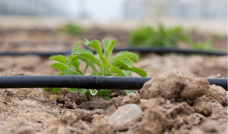 Preparing Yourself for the Next Disaster: Let There Be Water
