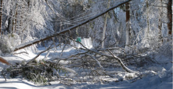 Major Storm Could Bring Dark and Cold to New England: Are You Ready?