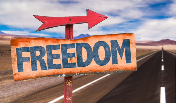 Cato Institute: Top 5 States: Freedom in the 50 States