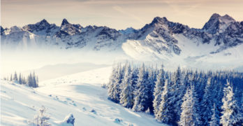 Vanguard GNMA and a Winter of Political Polarization