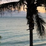 Survive and Thrive January 2021: Are You Ready for The Great Reset?