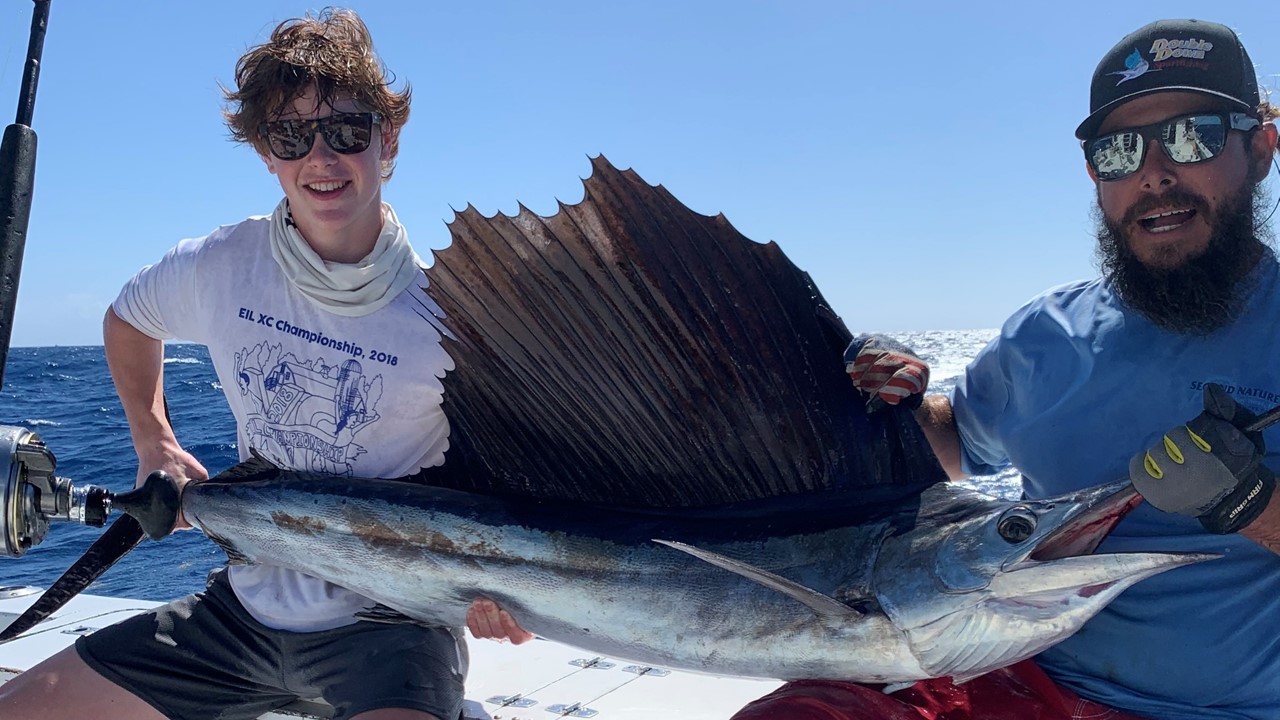 Sailfish Off Key West