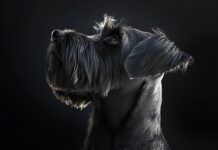 Congratulations Monty