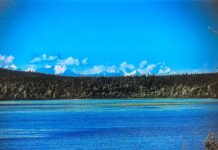 Survive and Thrive July 2025: “It’s Saving Me Too”