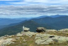 Adventures in the North