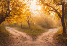 Two Roads Diverged: It Makes All the Difference