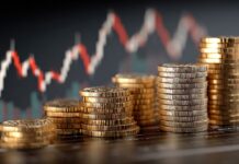 Survive and Thrive January 2026: “It Is All About Compound Interest, Brother”