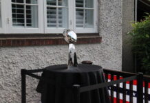 Congratulations Seattle Seahawks on Super Bowl Win