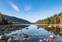 Serenity at Acadia: Are You Spending Your Money Foolishly?