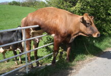 STUCK: Private Equity Is the Next Big Thing Coming for YOU: Part XXI