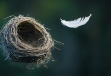 Your Survival Guy and Gal Part-Time Empty Nesters