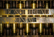 Second Amendment Scope: The Right to Bear Which Arms?