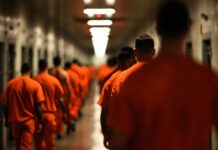 Crime Plummets Under Trump